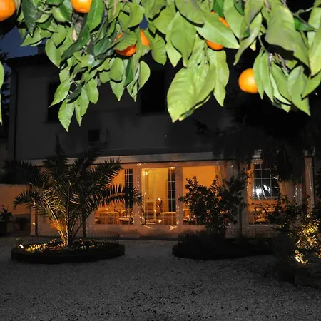 Couette-café Il Mattino Ha L'oro In Bocca 3*