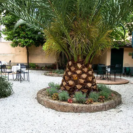 Il Mattino Ha L'oro In Bocca Panzió Pisa